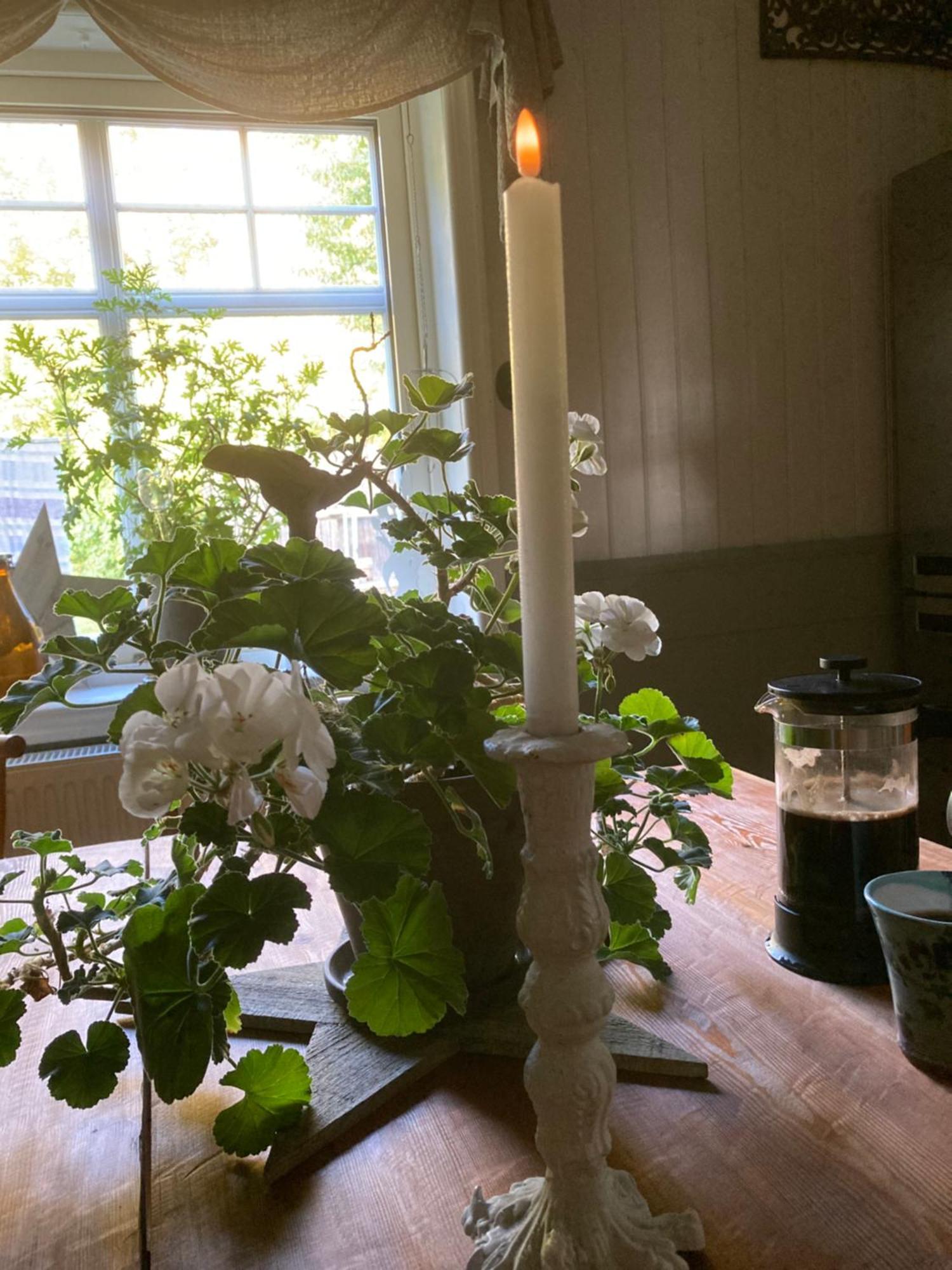 En oas nära Birsta Lägenhet Sundsvall Exteriör bild